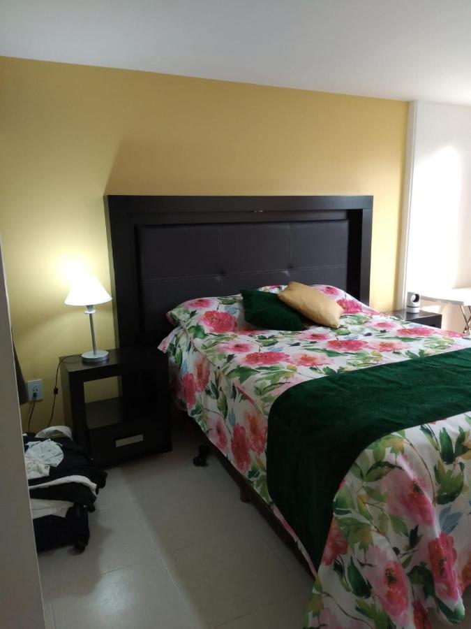Charming Sunny Bedroom Overlooking Beautiful Amsterdam Avenue In Best Condesa Area 墨西哥城 外观 照片