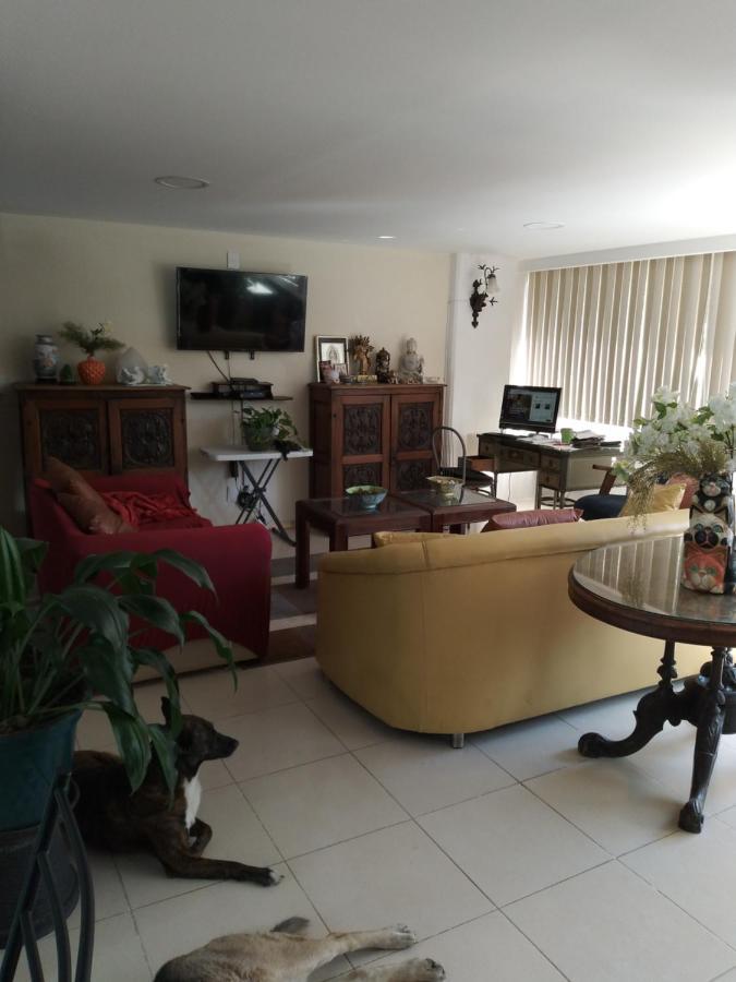 Charming Sunny Bedroom Overlooking Beautiful Amsterdam Avenue In Best Condesa Area 墨西哥城 外观 照片