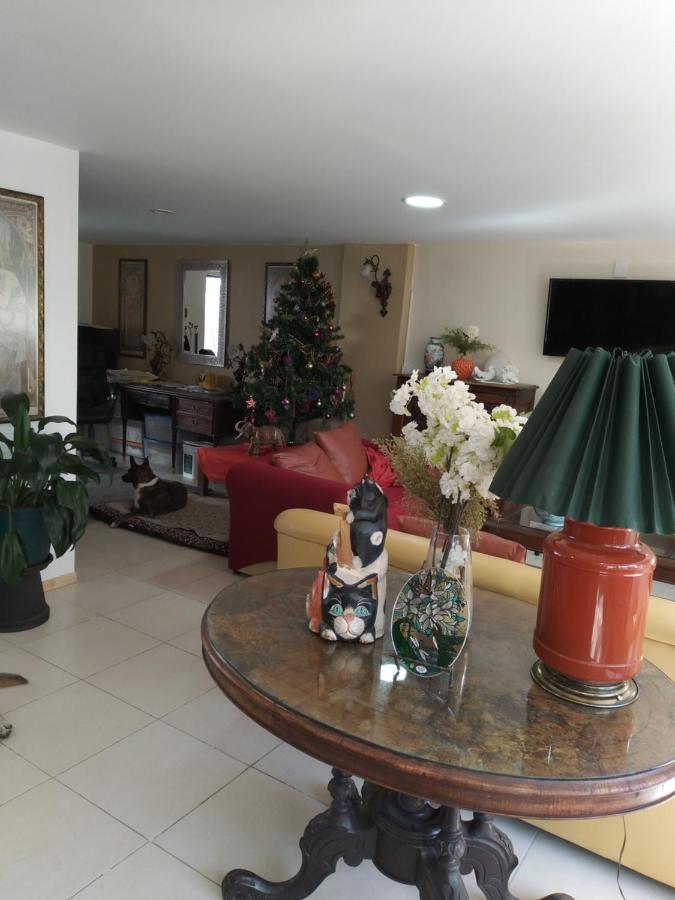 Charming Sunny Bedroom Overlooking Beautiful Amsterdam Avenue In Best Condesa Area 墨西哥城 外观 照片