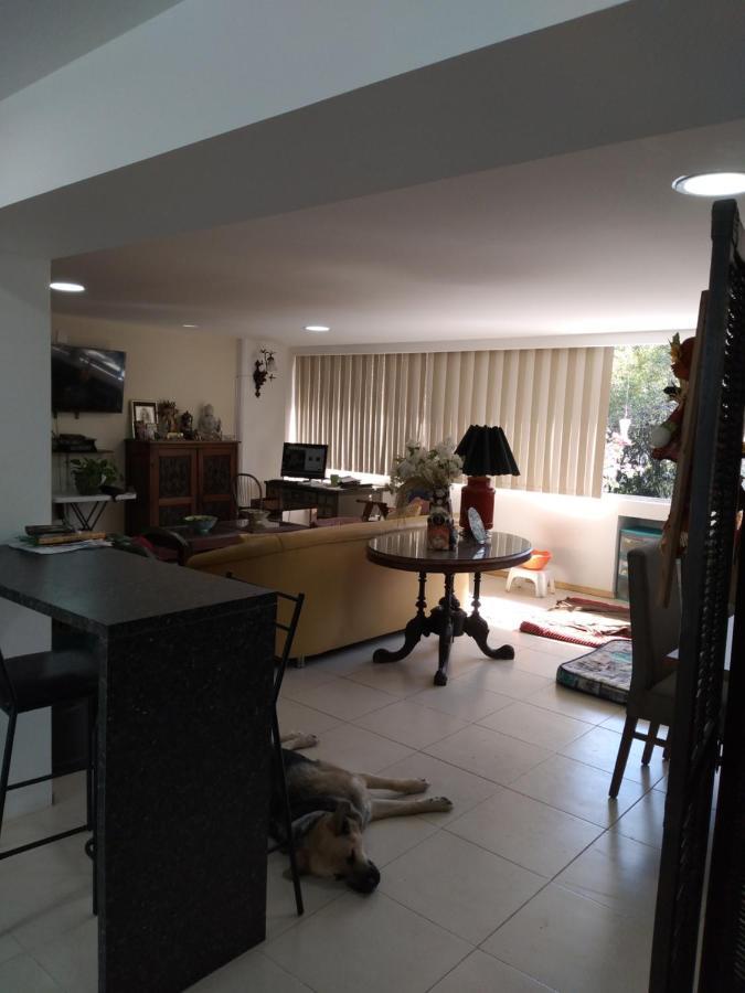 Charming Sunny Bedroom Overlooking Beautiful Amsterdam Avenue In Best Condesa Area 墨西哥城 外观 照片