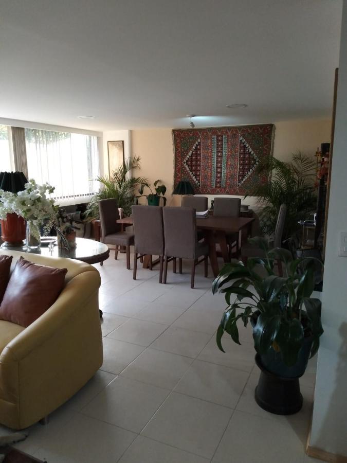 Charming Sunny Bedroom Overlooking Beautiful Amsterdam Avenue In Best Condesa Area 墨西哥城 外观 照片