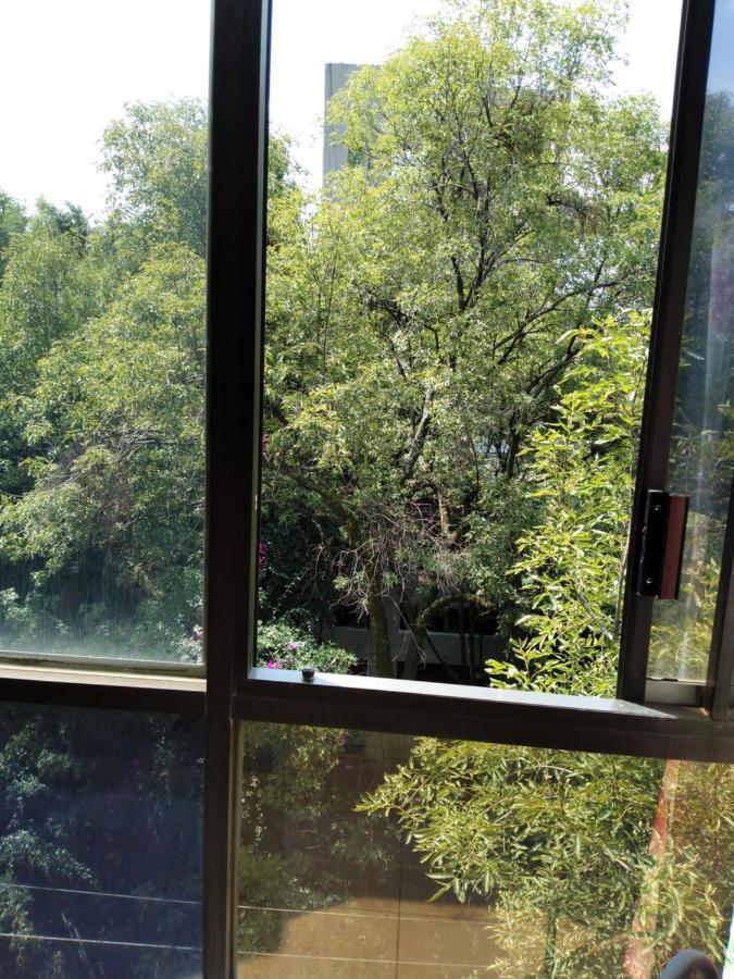 Charming Sunny Bedroom Overlooking Beautiful Amsterdam Avenue In Best Condesa Area 墨西哥城 外观 照片