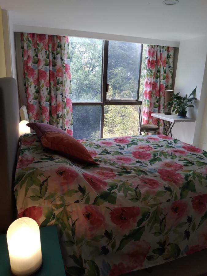 Charming Sunny Bedroom Overlooking Beautiful Amsterdam Avenue In Best Condesa Area 墨西哥城 外观 照片