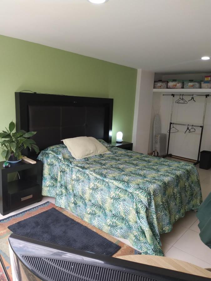 Charming Sunny Bedroom Overlooking Beautiful Amsterdam Avenue In Best Condesa Area 墨西哥城 外观 照片