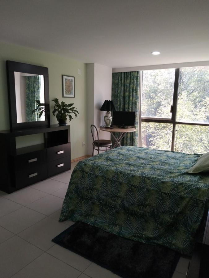 Charming Sunny Bedroom Overlooking Beautiful Amsterdam Avenue In Best Condesa Area 墨西哥城 外观 照片