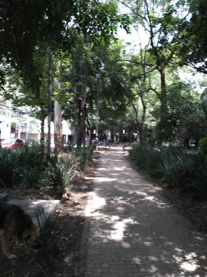 Charming Sunny Bedroom Overlooking Beautiful Amsterdam Avenue In Best Condesa Area 墨西哥城 外观 照片