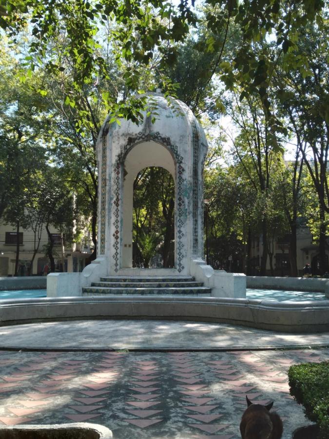 Charming Sunny Bedroom Overlooking Beautiful Amsterdam Avenue In Best Condesa Area 墨西哥城 外观 照片