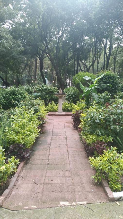 Charming Sunny Bedroom Overlooking Beautiful Amsterdam Avenue In Best Condesa Area 墨西哥城 外观 照片
